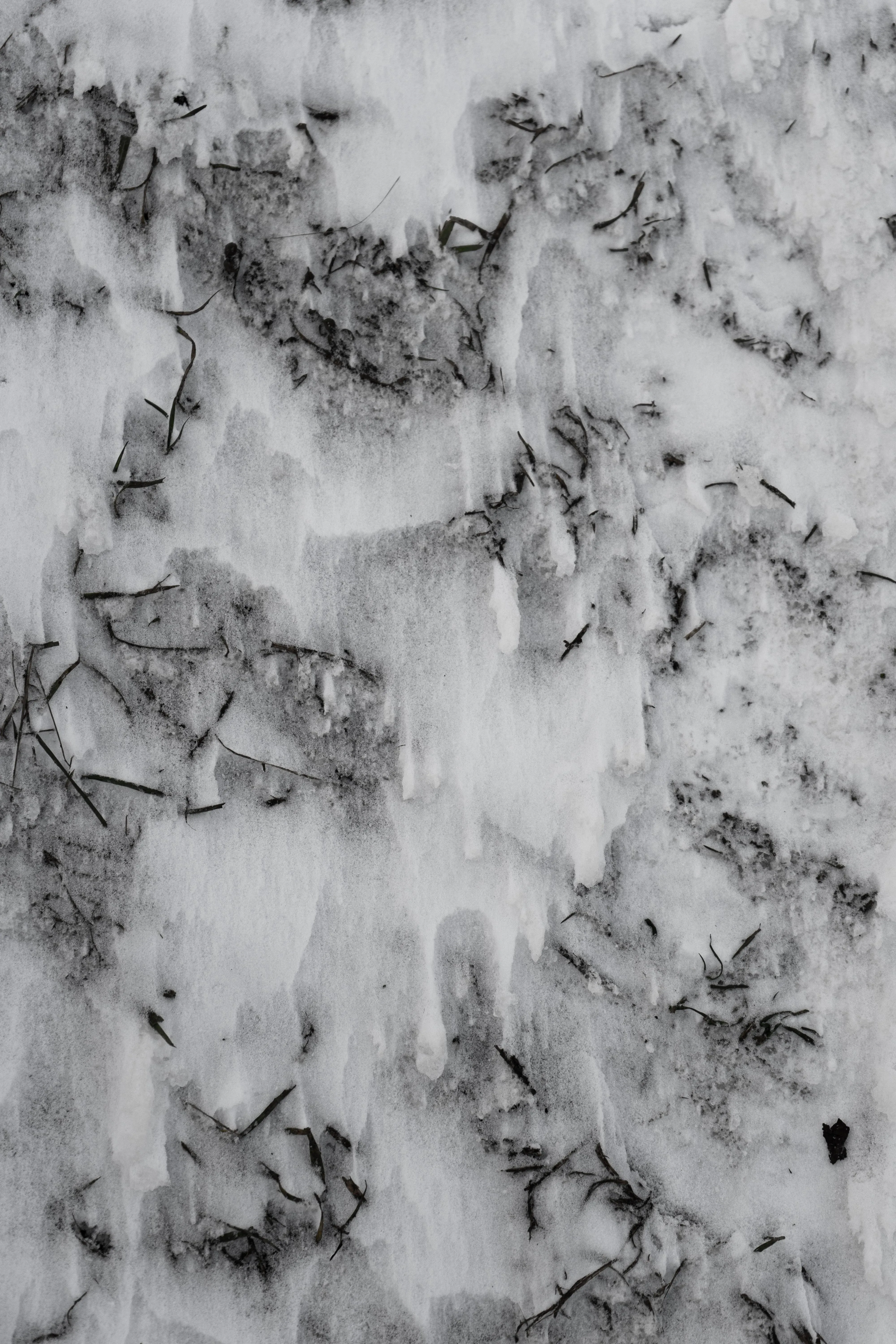 Snow and grass